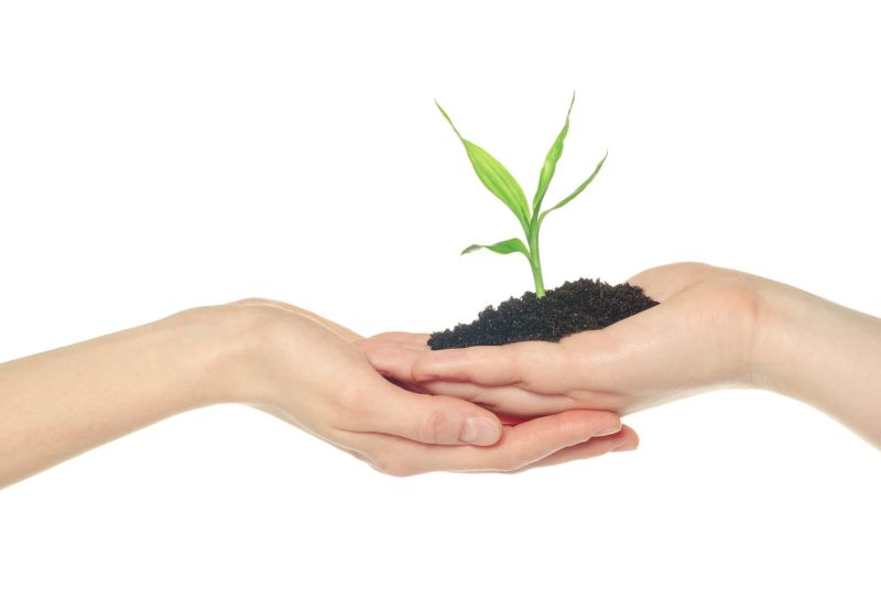 Sustainabilty
